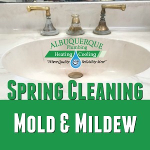 Spring-Cleaning-Mold-Mildew