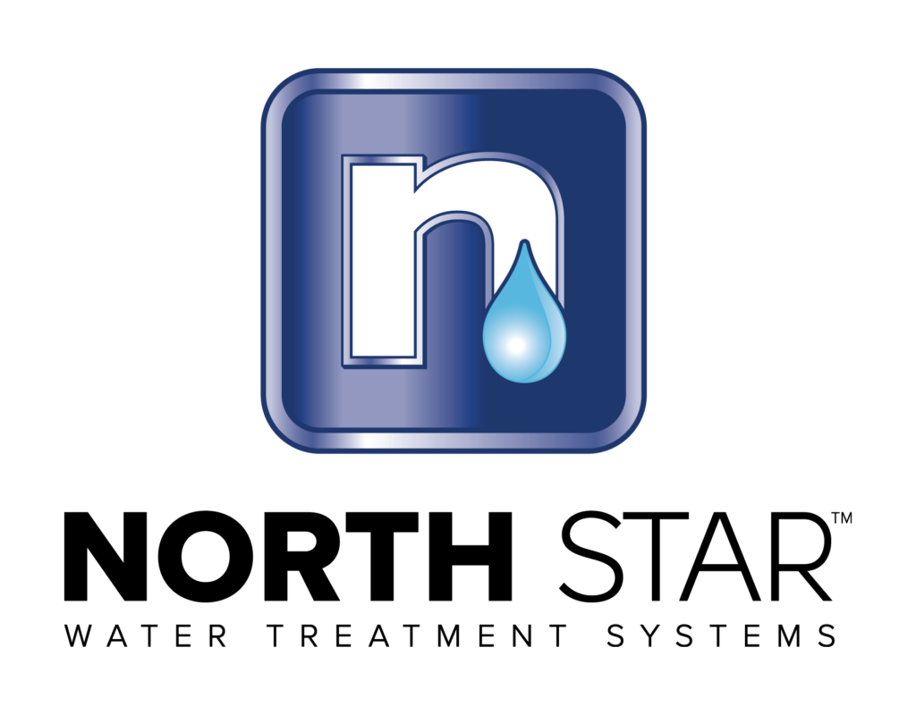 NorthStar Logo